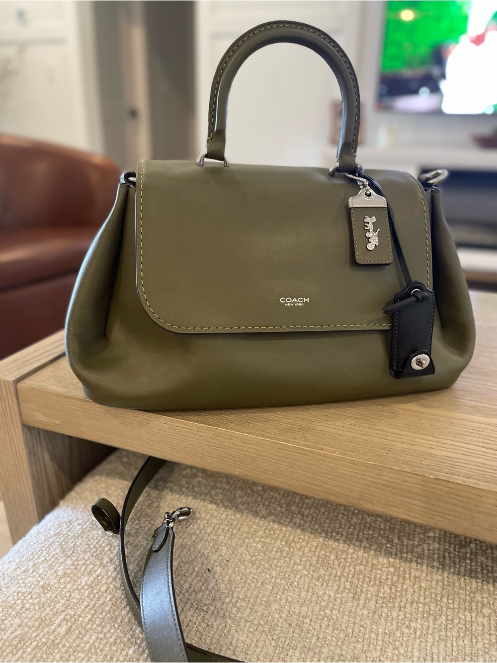 SOLD…….Coach Sloughy Rogue - Picture 3 of 5